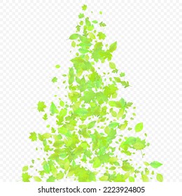 Leaves Falling. Spring Flying Foliage. Chaotic Green Leaf Flying On Transparent Background. Forest Design, Nature Elements. Ecology Vector Illustration. Environment Backdrop.