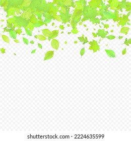 Leaves Falling. Spring Flying Foliage. Chaotic Green Leaf Flying On Transparent Background. Forest Design, Nature Elements. Ecology Vector Illustration. Environment Backdrop.