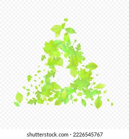Leaves Falling. Spring Flying Foliage. Chaotic Green Leaf Flying On Transparent Background. Forest Design, Nature Elements. Ecology Vector Illustration. Environment Backdrop.