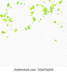 Leaves Falling. Spring Flying Foliage. Chaotic Green Leaf Flying On Transparent Background. Forest Design, Nature Elements. Ecology Vector Illustration. Environment Backdrop.
