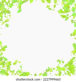 Leaves Falling. Spring Flying Foliage. Chaotic Green Leaf Flying On Transparent Background. Forest Design, Nature Elements. Ecology Vector Illustration. Environment Backdrop.