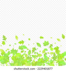 Leaves Falling. Spring Flying Foliage. Chaotic Green Leaf Flying On Transparent Background. Forest Design, Nature Elements. Ecology Vector Illustration. Environment Backdrop.