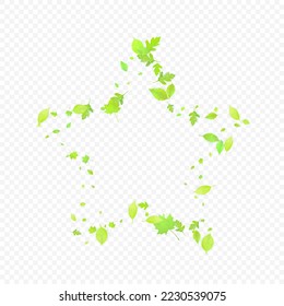 Leaves Falling. Spring Flying Foliage. Chaotic Green Leaf Flying On Transparent Background. Forest Design, Nature Elements. Ecology Vector Illustration. Environment Backdrop.