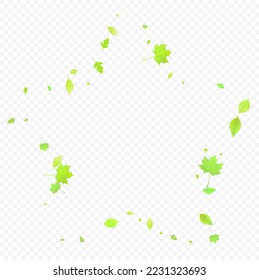 Leaves Falling. Spring Flying Foliage. Chaotic Green Leaf Flying On Transparent Background. Forest Design, Nature Elements. Ecology Vector Illustration. Environment Backdrop.