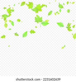 Leaves Falling. Spring Flying Foliage. Chaotic Green Leaf Flying On Transparent Background. Forest Design, Nature Elements. Ecology Vector Illustration. Environment Backdrop.