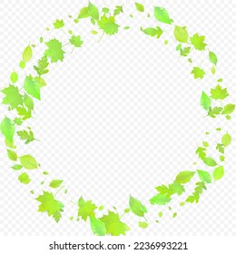 Leaves Falling. Spring Flying Foliage. Chaotic Green Leaf Flying On Transparent Background. Forest Design, Nature Elements. Ecology Vector Illustration. Environment Backdrop.