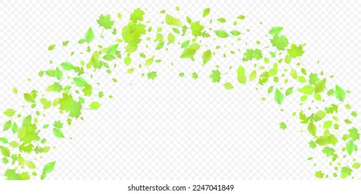 Leaves Falling. Spring Flying Foliage. Chaotic Green Leaf Flying On Transparent Background. Forest Design, Nature Elements. Ecology Vector Illustration. Environment Backdrop.
