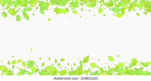 Leaves Falling. Spring Flying Foliage. Chaotic Green Leaf Flying On Transparent Background. Forest Design, Nature Elements. Ecology Vector Illustration. Environment Backdrop.