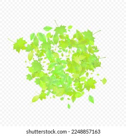 Leaves Falling. Spring Flying Foliage. Chaotic Green Leaf Flying On Transparent Background. Forest Design, Nature Elements. Ecology Vector Illustration. Environment Backdrop.
