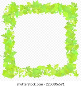 Leaves Falling. Spring Flying Foliage. Chaotic Green Leaf Flying On Transparent Background. Forest Design, Nature Elements. Ecology Vector Illustration. Environment Backdrop.