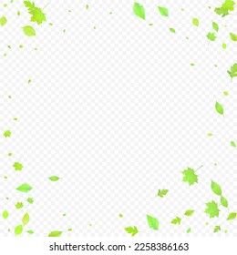 Leaves Falling. Spring Flying Foliage. Chaotic Green Leaf Flying On Transparent Background. Forest Design, Nature Elements. Ecology Vector Illustration. Environment Backdrop.
