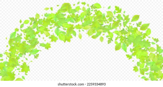 Leaves Falling. Spring Flying Foliage. Chaotic Green Leaf Flying On Transparent Background. Forest Design, Nature Elements. Ecology Vector Illustration. Environment Backdrop.