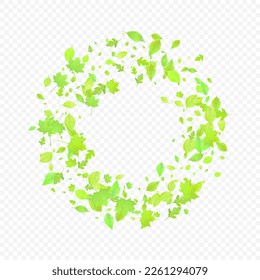 Leaves Falling. Spring Flying Foliage. Chaotic Green Leaf Flying On Transparent Background. Forest Design, Nature Elements. Ecology Vector Illustration. Environment Backdrop.