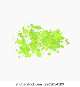 Leaves Falling. Spring Flying Foliage. Chaotic Green Leaf Flying On Transparent Background. Forest Design, Nature Elements. Ecology Vector Illustration. Environment Backdrop.