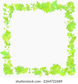 Leaves Falling. Spring Flying Foliage. Chaotic Green Leaf Flying On Transparent Background. Forest Design, Nature Elements. Ecology Vector Illustration. Environment Backdrop.