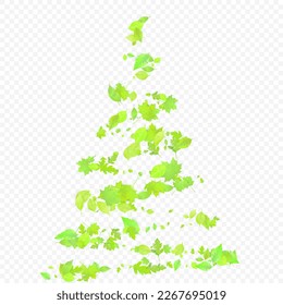 Leaves Falling. Spring Flying Foliage. Chaotic Green Leaf Flying On Transparent Background. Forest Design, Nature Elements. Ecology Vector Illustration. Environment Backdrop.