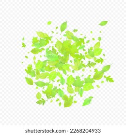 Leaves Falling. Spring Flying Foliage. Chaotic Green Leaf Flying On Transparent Background. Forest Design, Nature Elements. Ecology Vector Illustration. Environment Backdrop.