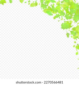 Leaves Falling. Spring Flying Foliage. Chaotic Green Leaf Flying On Transparent Background. Forest Design, Nature Elements. Ecology Vector Illustration. Environment Backdrop.