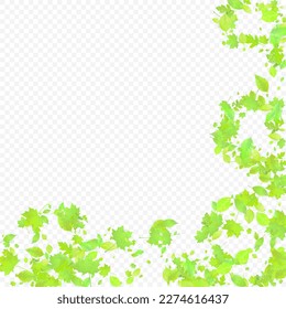 Leaves Falling. Spring Flying Foliage. Chaotic Green Leaf Flying On Transparent Background. Forest Design, Nature Elements. Ecology Vector Illustration. Environment Backdrop.
