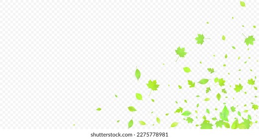 Leaves Falling. Spring Flying Foliage. Chaotic Green Leaf Flying On Transparent Background. Forest Design, Nature Elements. Ecology Vector Illustration. Environment Backdrop.