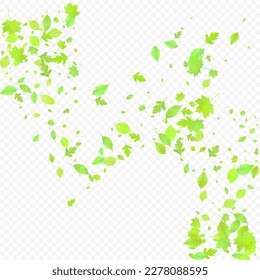 Leaves Falling. Spring Flying Foliage. Chaotic Green Leaf Flying On Transparent Background. Forest Design, Nature Elements. Ecology Vector Illustration. Environment Backdrop.