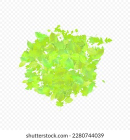 Leaves Falling. Spring Flying Foliage. Chaotic Green Leaf Flying On Transparent Background. Forest Design, Nature Elements. Ecology Vector Illustration. Environment Backdrop.