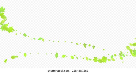 Leaves Falling. Spring Flying Foliage. Chaotic Green Leaf Flying On Transparent Background. Forest Design, Nature Elements. Ecology Vector Illustration. Environment Backdrop.