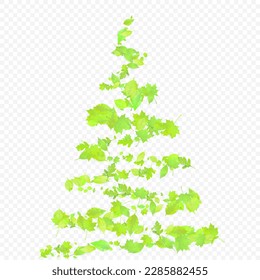 Leaves Falling. Spring Flying Foliage. Chaotic Green Leaf Flying On Transparent Background. Forest Design, Nature Elements. Ecology Vector Illustration. Environment Backdrop.