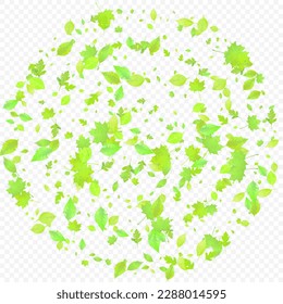 Leaves Falling. Spring Flying Foliage. Chaotic Green Leaf Flying On Transparent Background. Forest Design, Nature Elements. Ecology Vector Illustration. Environment Backdrop.