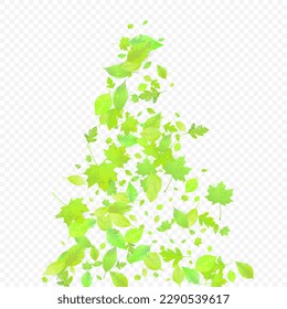 Leaves Falling. Spring Flying Foliage. Chaotic Green Leaf Flying On Transparent Background. Forest Design, Nature Elements. Ecology Vector Illustration. Environment Backdrop.