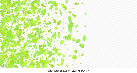 Leaves Falling. Spring Flying Foliage. Chaotic Green Leaf Flying On Transparent Background. Forest Design, Nature Elements. Ecology Vector Illustration. Environment Backdrop.
