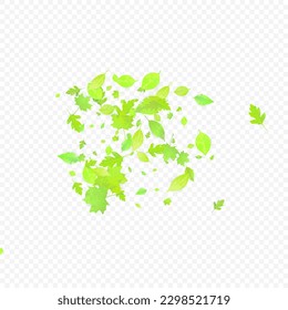 Leaves Falling. Spring Flying Foliage. Chaotic Green Leaf Flying On Transparent Background. Forest Design, Nature Elements. Ecology Vector Illustration. Environment Backdrop.