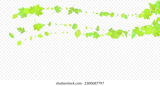 Leaves Falling. Spring Flying Foliage. Chaotic Green Leaf Flying On Transparent Background. Forest Design, Nature Elements. Ecology Vector Illustration. Environment Backdrop.