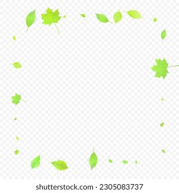 Leaves Falling. Spring Flying Foliage. Chaotic Green Leaf Flying On Transparent Background. Forest Design, Nature Elements. Ecology Vector Illustration. Environment Backdrop.