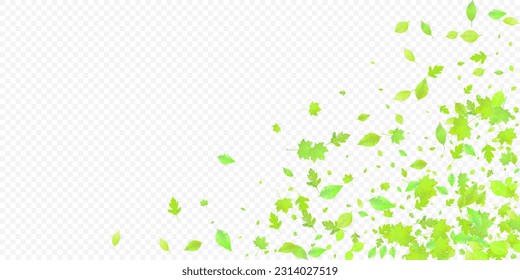 Leaves Falling. Spring Flying Foliage. Chaotic Green Leaf Flying On Transparent Background. Forest Design, Nature Elements. Ecology Vector Illustration. Environment Backdrop.