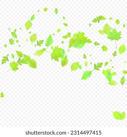 Leaves Falling. Spring Flying Foliage. Chaotic Green Leaf Flying On Transparent Background. Forest Design, Nature Elements. Ecology Vector Illustration. Environment Backdrop.