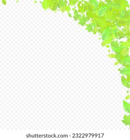 Leaves Falling. Spring Flying Foliage. Chaotic Green Leaf Flying On Transparent Background. Forest Design, Nature Elements. Ecology Vector Illustration. Environment Backdrop.