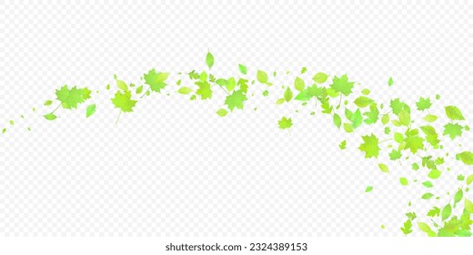Leaves Falling. Spring Flying Foliage. Chaotic Green Leaf Flying On Transparent Background. Forest Design, Nature Elements. Ecology Vector Illustration. Environment Backdrop.