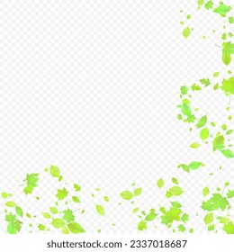 Leaves Falling. Spring Flying Foliage. Chaotic Green Leaf Flying On Transparent Background. Forest Design, Nature Elements. Ecology Vector Illustration. Environment Backdrop.