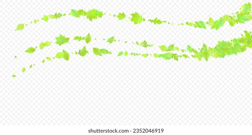 Leaves Falling. Spring Flying Foliage. Chaotic Green Leaf Flying On Transparent Background. Forest Design, Nature Elements. Ecology Vector Illustration. Environment Backdrop.