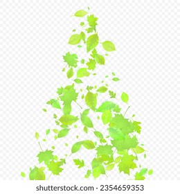 Leaves Falling. Spring Flying Foliage. Chaotic Green Leaf Flying On Transparent Background. Forest Design, Nature Elements. Ecology Vector Illustration. Environment Backdrop.
