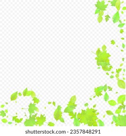 Leaves Falling. Spring Flying Foliage. Chaotic Green Leaf Flying On Transparent Background. Forest Design, Nature Elements. Ecology Vector Illustration. Environment Backdrop.