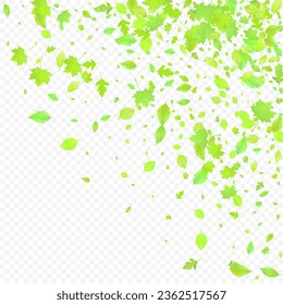 Leaves Falling. Spring Flying Foliage. Chaotic Green Leaf Flying On Transparent Background. Forest Design, Nature Elements. Ecology Vector Illustration. Environment Backdrop.