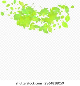 Leaves Falling. Spring Flying Foliage. Chaotic Green Leaf Flying On Transparent Background. Forest Design, Nature Elements. Ecology Vector Illustration. Environment Backdrop.