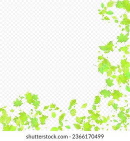 Leaves Falling. Spring Flying Foliage. Chaotic Green Leaf Flying On Transparent Background. Forest Design, Nature Elements. Ecology Vector Illustration. Environment Backdrop.