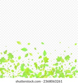 Leaves Falling. Spring Flying Foliage. Chaotic Green Leaf Flying On Transparent Background. Forest Design, Nature Elements. Ecology Vector Illustration. Environment Backdrop.