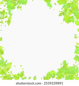 Leaves Falling. Spring Flying Foliage. Chaotic Green Leaf Flying On Transparent Background. Forest Design, Nature Elements. Ecology Vector Illustration. Environment Backdrop.