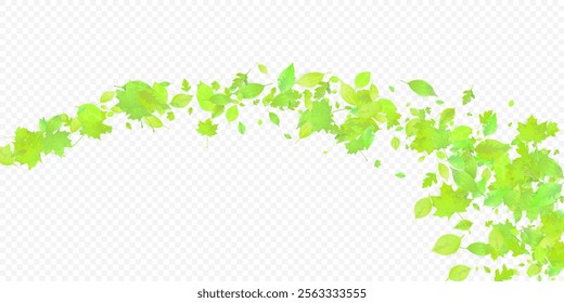 Leaves Falling. Spring Flying Foliage. Chaotic Green Leaf Flying On Transparent Background. Forest Design, Nature Elements. Ecology Vector Illustration. Environment Backdrop.