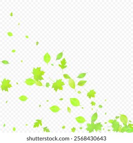 Leaves Falling. Spring Flying Foliage. Chaotic Green Leaf Flying On Transparent Background. Forest Design, Nature Elements. Ecology Vector Illustration. Environment Backdrop.