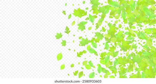 Leaves Falling. Spring Flying Foliage. Chaotic Green Leaf Flying On Transparent Background. Forest Design, Nature Elements. Ecology Vector Illustration. Environment Backdrop.